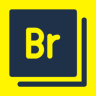 Equipe de Redação BRX