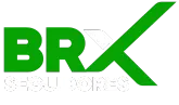 Blog Seguidores BRX