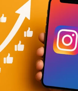 Qual a melhor categoria do Instagram para ganhar seguidores: guia