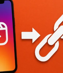 Link para baixar Reels do Instagram: opções e políticas